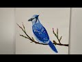 Easy Blue Jay Bird Painting