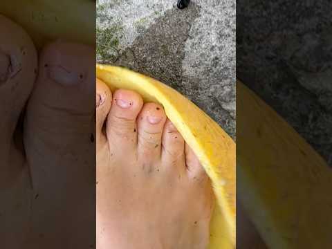 normal socks for bare feet made of melon