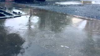 Rainy Day - iPhone 6 Slow Motion Camera Video Test