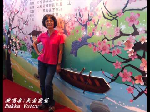 Hakka Voice● 經典客家歌:夢中人 by 美金雲雀