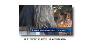 Wismichu Gta Galicia Bernardino Garrido