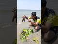 "An Amazing boy found a catfish and a bird's nest by the riverbank." #fishing #fish #riverfishing