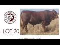 Lot 20 Wahroonga RJS250345