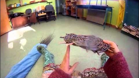 Nancy Today: trimming the base ends ASMR weaving basketmaking (basket making tutorial) hacer cesta