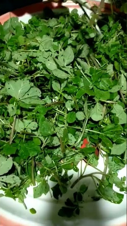 Sayur maman #maman #jerukmaman