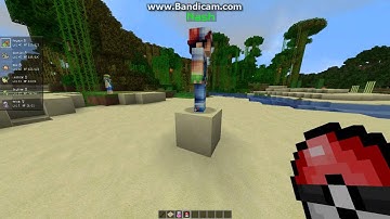 TImmyCraft Pixelmon Server : CustomNpcMod+Pixelmon-/give command and trap concept!