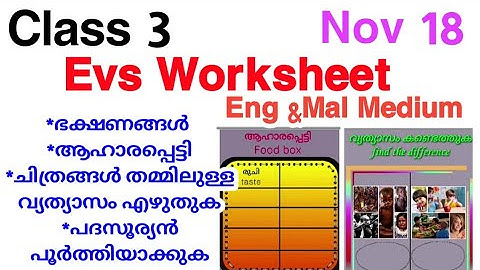 Class 3 Evs Worksheet 18/11/21/Std 3 Evs Worksheet Nov 18/3rd class environmental studies worksheet