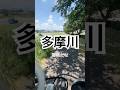 多摩川、最高だな #福生市 #福生 #多摩川 #クロスバイク #fussacity #fussa #Tamagawa #Crossbike