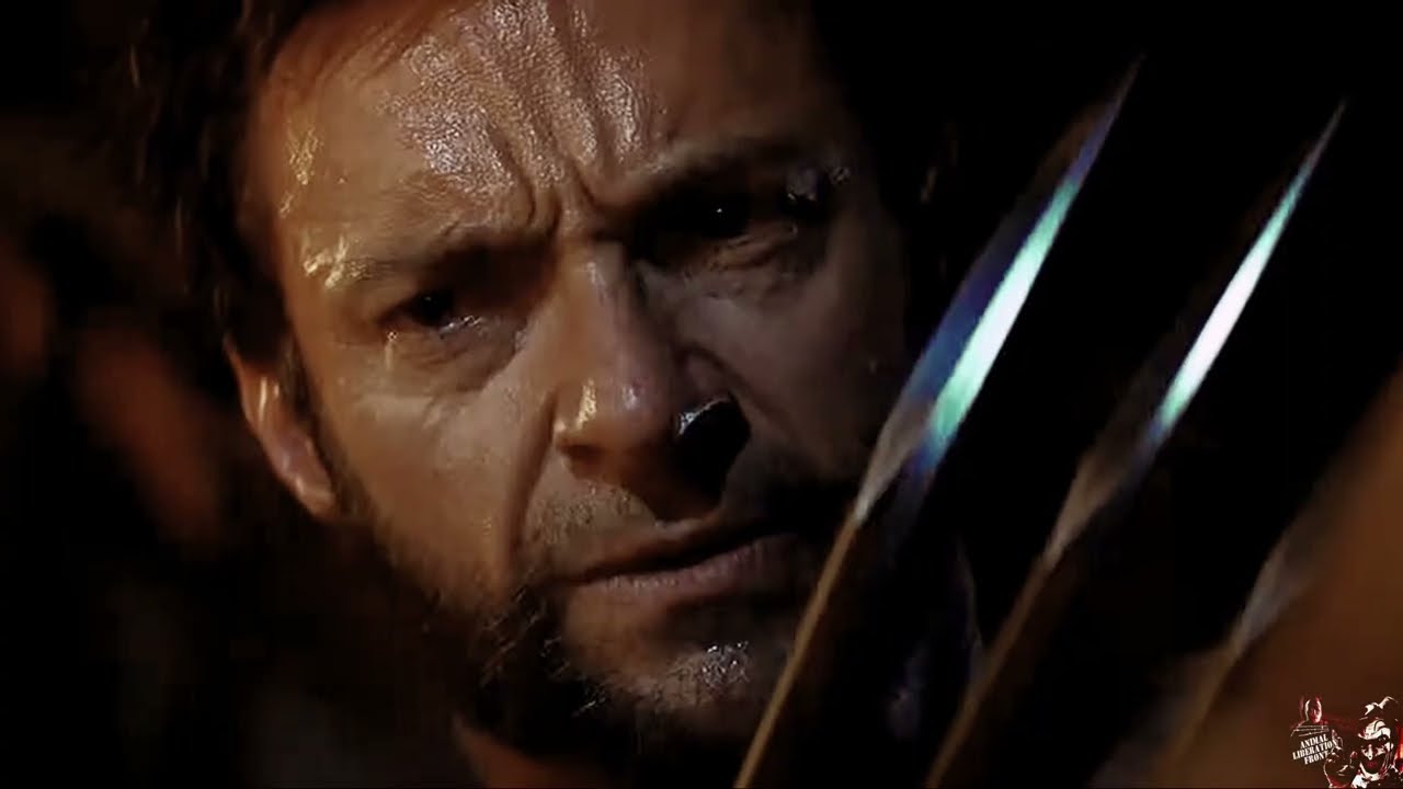 Wolverine - Anthem Of The Angels