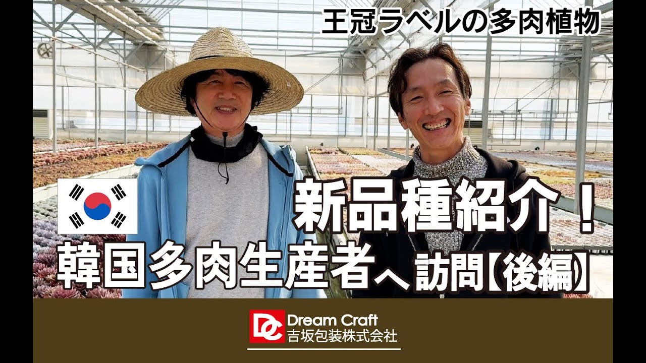 Korea] A Big Reveal of Succulent Farms! (Part 2) Introducing New