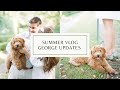 summer vlog | george pup updates