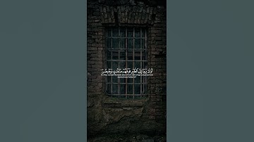 اكتب شيء تؤجر عليه | سورة الملك الآية 17-20 القارئ ماهر المعيقلي