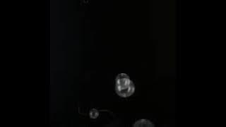 Smule; cinta diantara kita