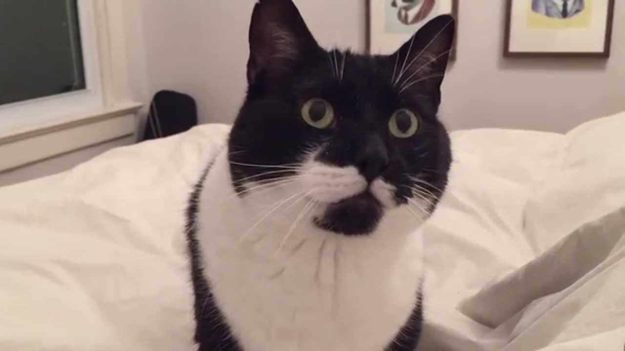 36 questions that lead to love youtube