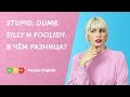 Stupid, dumb, silly и foolish. В чём разница?