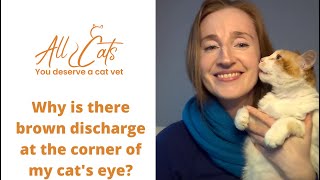 Why is there brown discharge at the corner of my cat's eye?