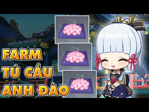 Video HƯỚNG DẪN Các Bạn Farm TÚ CẦU ANH ĐÀO trong 8 Phút |... - youtube