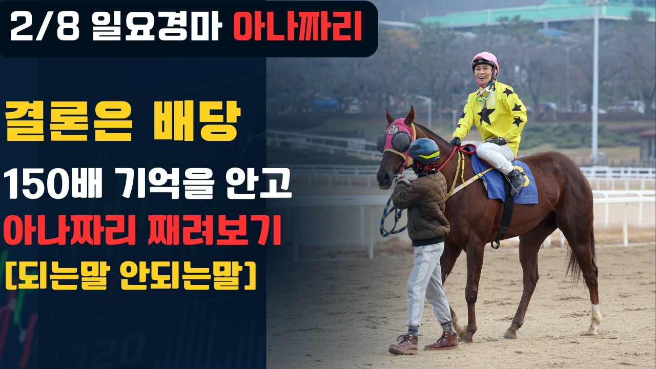 2/8 일요경마 아나짜리 오늘도 능력아닌 주로경마 될까??