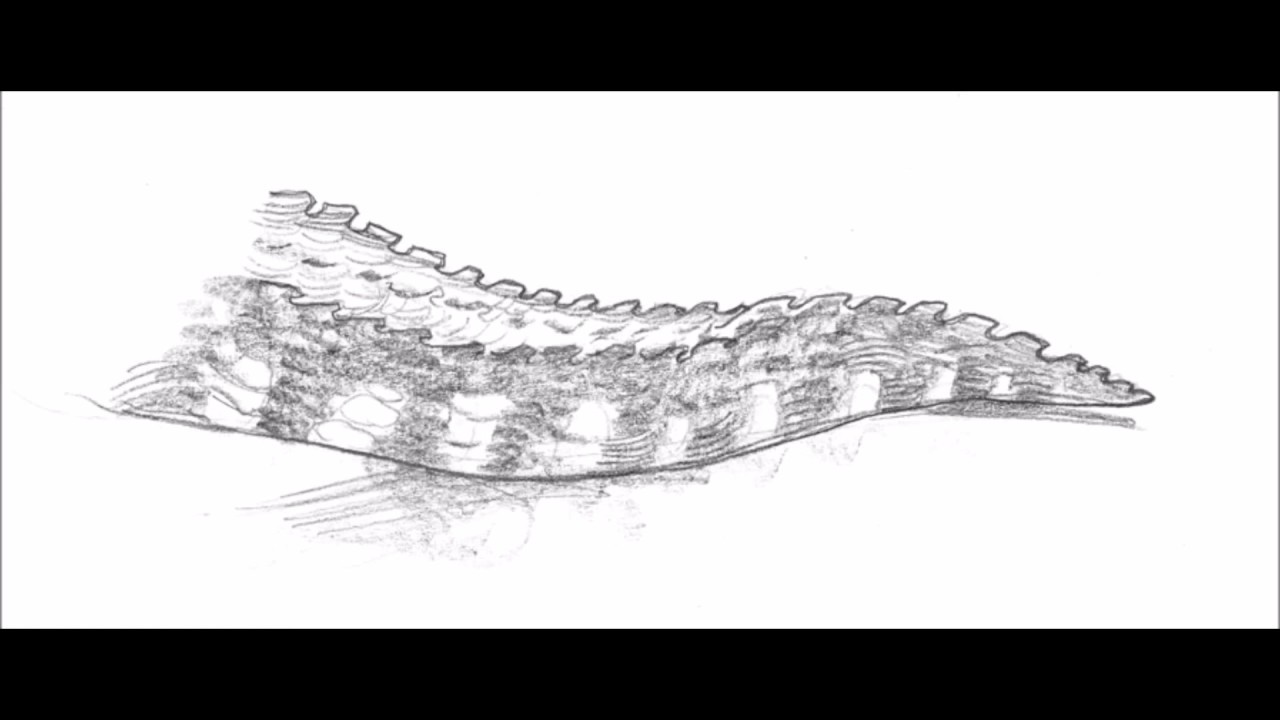 Фото Нарисованного Хвост — Mixyfotos.ru