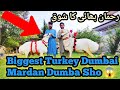 Biggest turkey dumbai mardan dumba show shoq rehman bhai ka june 28 2023