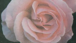 Sen Gittin Ya Resimi