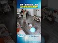 陸男「客廳陪玩球」太嗨 天花板砸落神反應護兒｜TVBS新聞@TVBSNEWS01