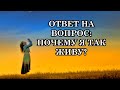 ОТВЕТ НА ВОПРОС: ПОЧЕМУ Я ТАК ЖИВУ?