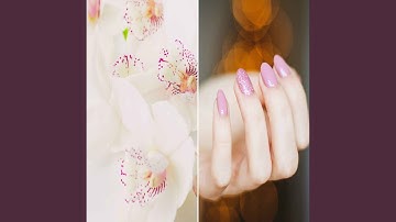 Hip Backdrops for Always Dreams