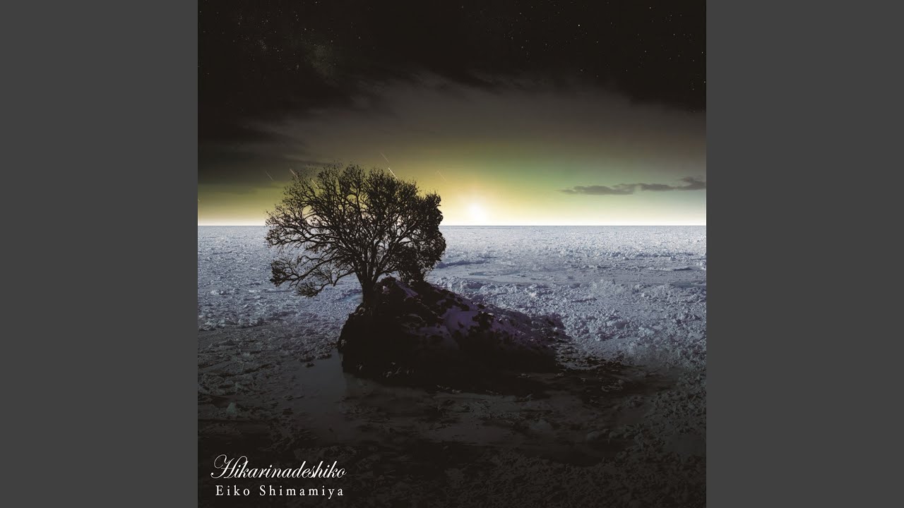 在 YouTube 上观看 ひかりなでしこ