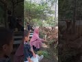 Mas Aim Memberi Makan Rusa 