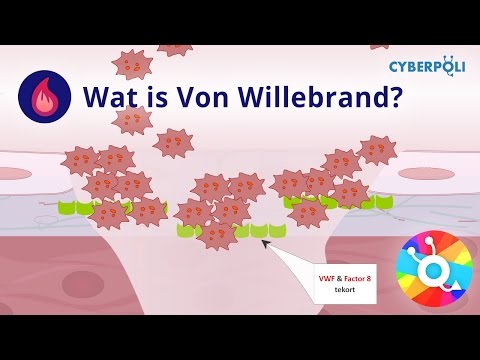 Video: Verschil Tussen De Ziekte Van Von Willebrand En Hemofilie