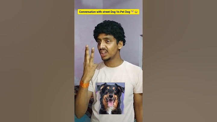 Conversation with street dog vs pet dog 😂🔥 #shorts #funny #comedy #youtube #relatable subscribe more