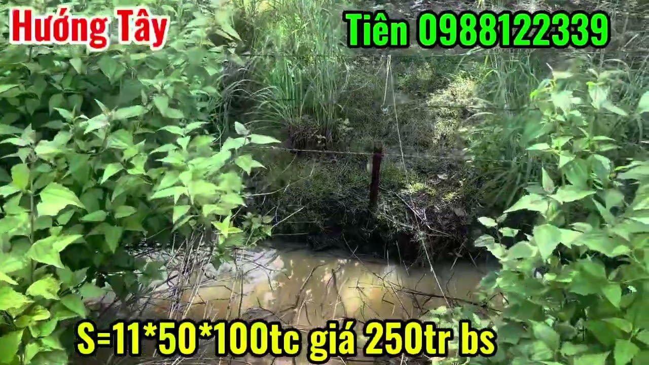 Một lô đất nền mặt tiền nhựa có thổ cư chỉ 250tr bao sổ alo em 0988122339