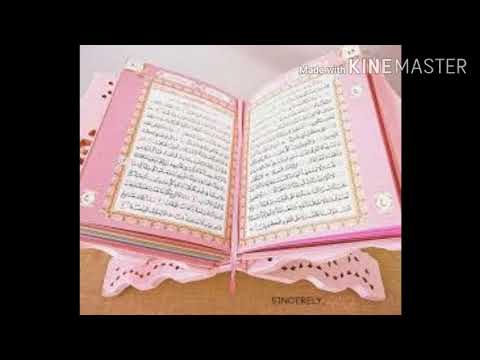 القرآن الكريم تلاوة هادئة ألا بذكر الله تطمئن القلوب