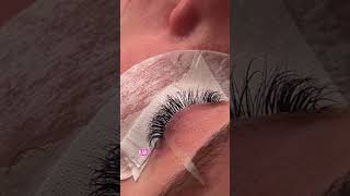 https://t.me/lashexpert_Elena_Kysykova