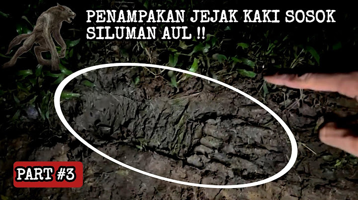TERNYATA GEDE BANGET GAIS‼️ BEGINILAH PENAMPAKAN JEJAK KAKI SOSOK SILUMAN AUL‼️ MALAM #3