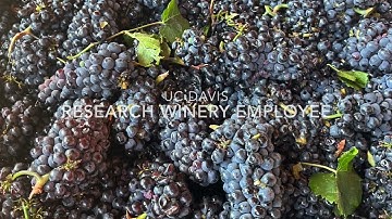 AidanLynd_VideoResume