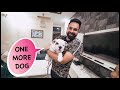 Welcome one more *DOG* in Our House 🐶 | Harpreet SDC