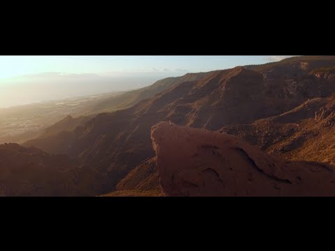 How do Feathers Grow? - Feather Formation