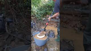 my budget bucket classifier #gold #panning #sluice #reedycreek