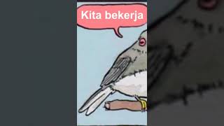 Ganyang Ganyang Fufufafa shorts foryou memes meme fufufafa