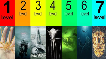 The 7 Levels of Creepy Ocean Mysteries Science CAN