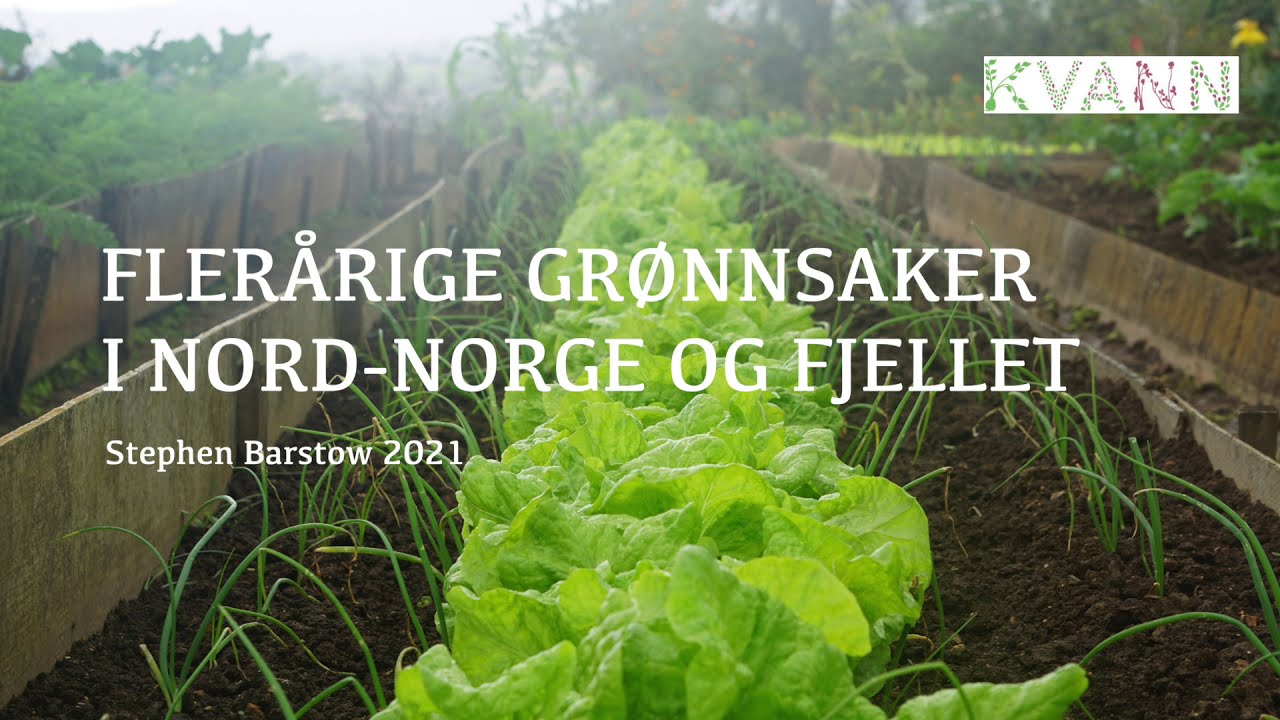 Flerårige Grønnsaker for Nord Norge og Fjellet | Foredrag v/ Stephen Barstow | 2021
