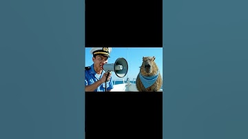 Capybara GIẢI CỨU đoàn thủy khỏi nguy hiểm NỔ TÀU nhưng lại bị HIỂU LẦM? #capybara #capybaravabe