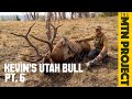 Success in Utah PT 6 - The finale of a two week adventure with a big bull to cap it off