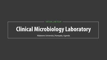 Makerere University Virtual Lab Tour: Clinical Microbiology Laboratory