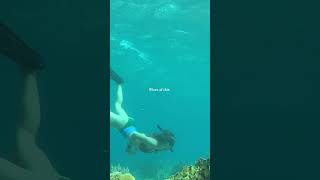 Less of This...more of This #SlowTravel #Vacation #Escape #Aruba #Travel