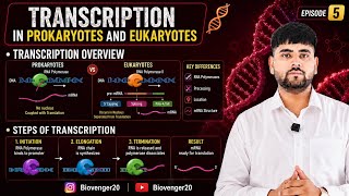 🔥 Transcription in Prokaryotes & Eukaryotes | Complete NCERT Biology | NEET 2027 | Episode 5 🧬