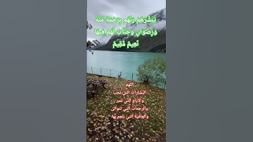 #القرآن_الكريم #لايك #تلاوة_مؤثرة #qurankareem #تلاوة_خاشعة #quran #المصحف