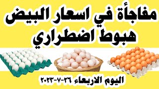 اسعار البيض اليوم سعر البيض اليوم الاربعاء ٢٦-٧-٢٠٢٣ جملة وقطاعي في المحلات في مصر